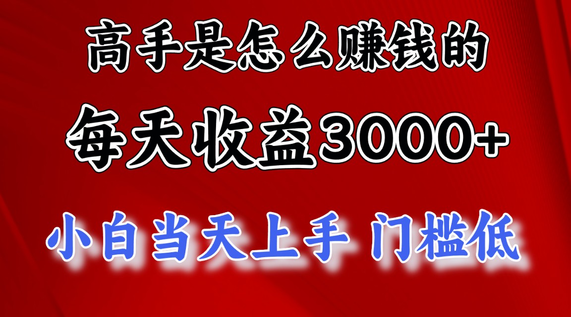 （12144期）1天收益3000+，月收益10万以上，24年8月份爆火项目-轻创淘金网