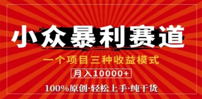 视频号最新爆火赛道，三种可收益模式，0粉新号条条原创条条热门 日入1000+-轻创淘金网